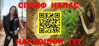 a pvp Ачхой-Мартан