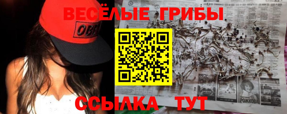 Галлюциногенные грибы прущие грибы  Псилоцибиновые грибы прущие грибы  Вход с VPN  Кудымкар 
